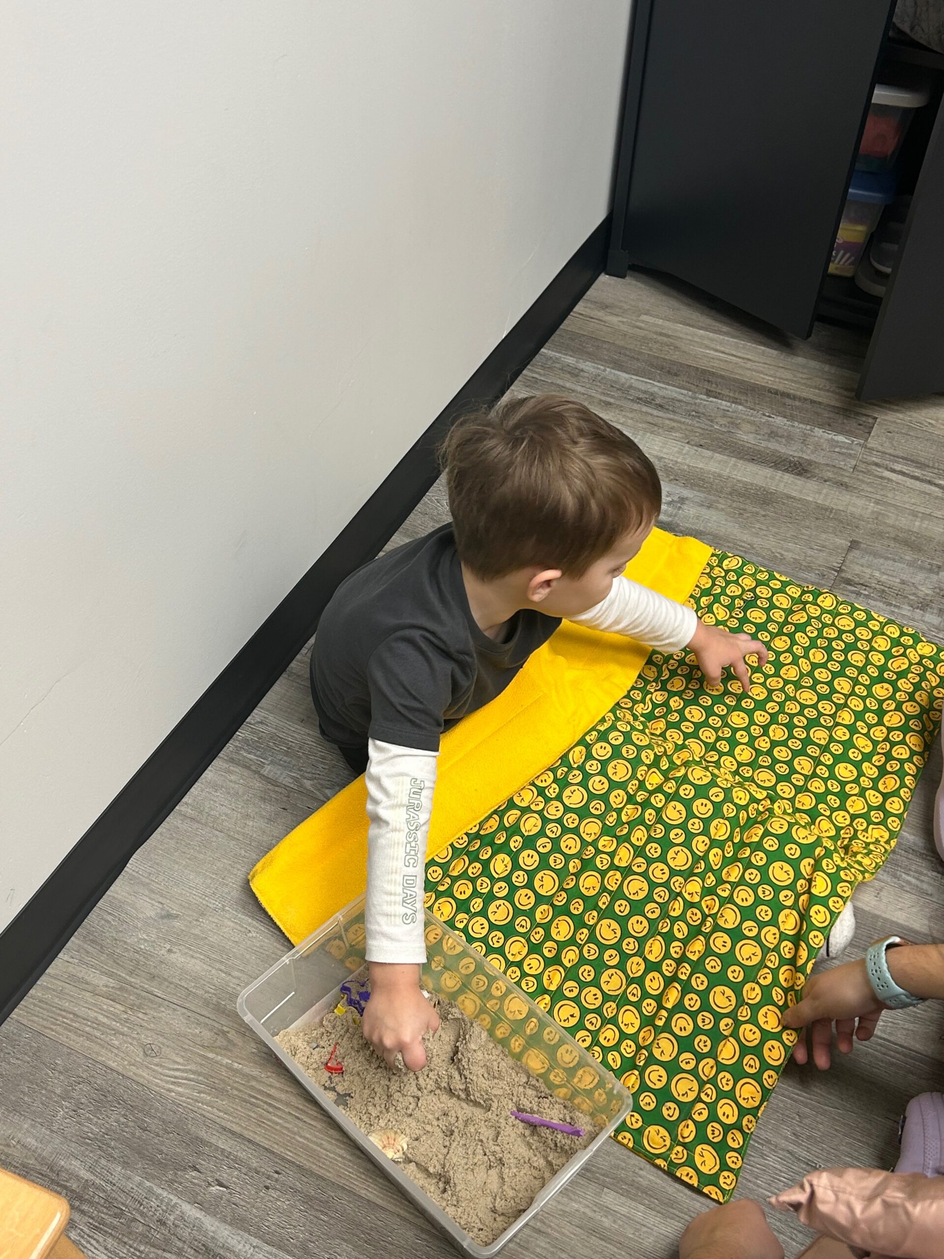 developmental-preschool-step-forward-therapy-rolling-meadows-il